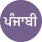 punjabi-collection-icon